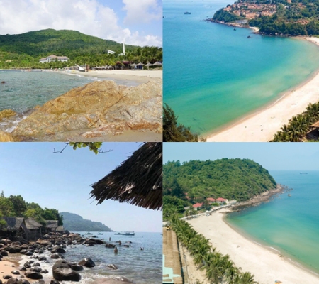 promotion Golden Lotus